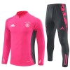 Allemagne Color Sweat d'Entraînement Quarter-Zip 2024-25 Rose Pour Homme